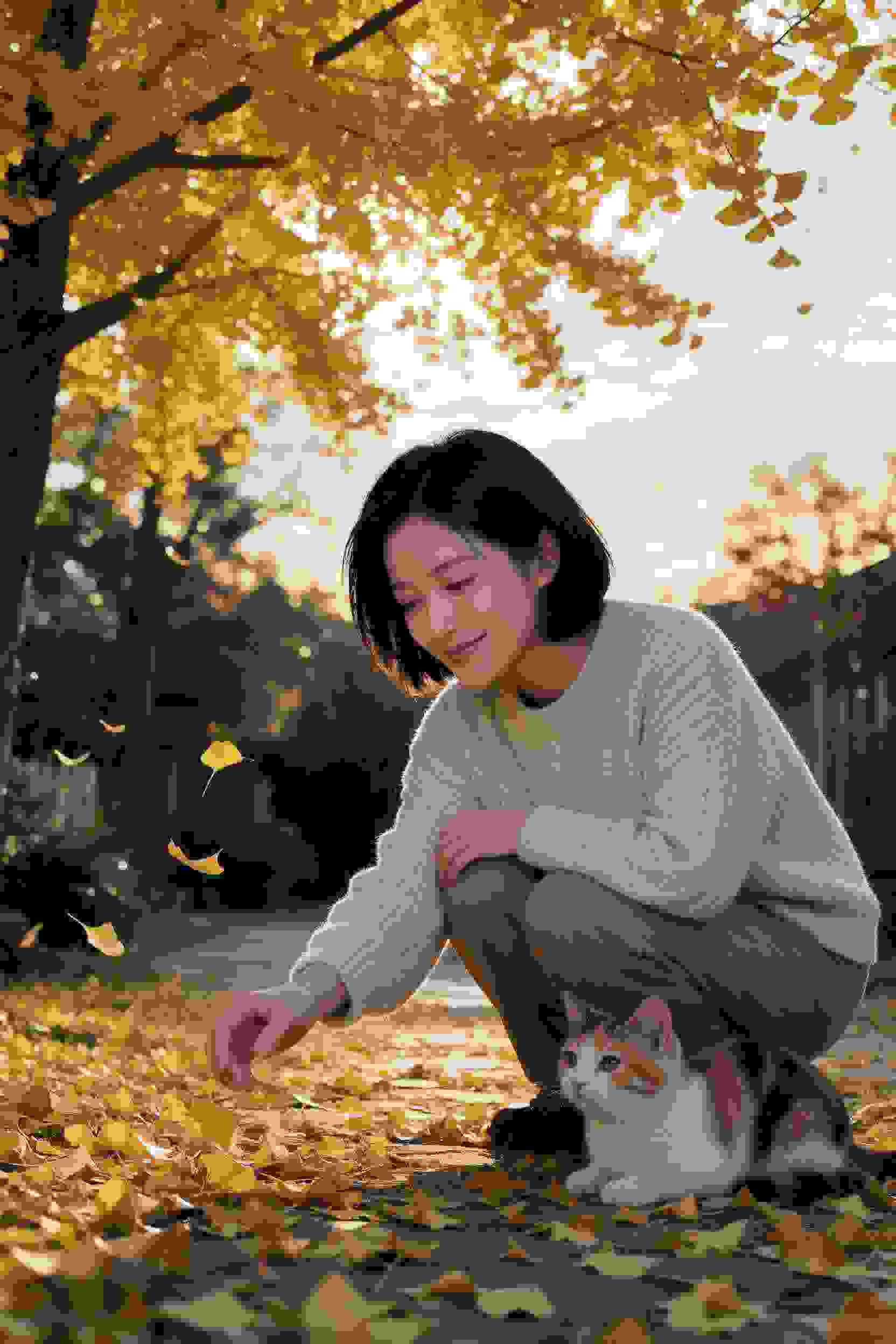 命运之轮